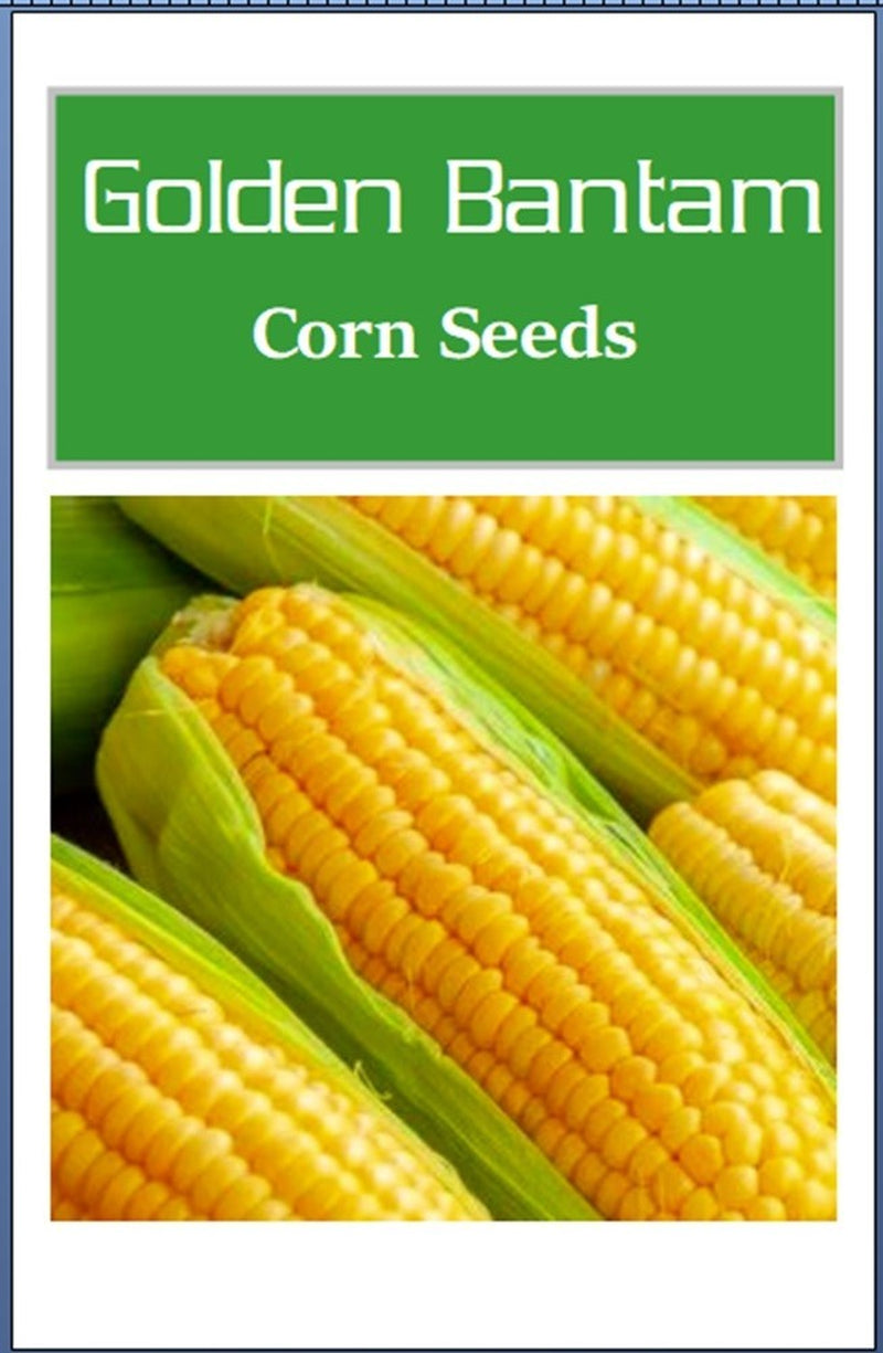 Golden Bantam Corn Seeds | Non-Gmo Corn Seeds | Fresh Heirloom Garden Seeds
